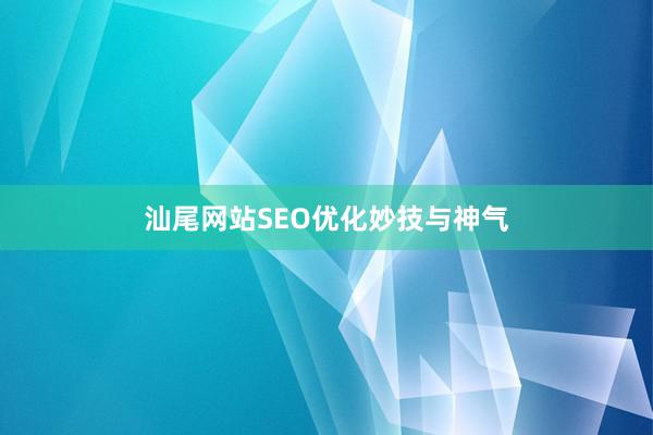 汕尾网站SEO优化妙技与神气