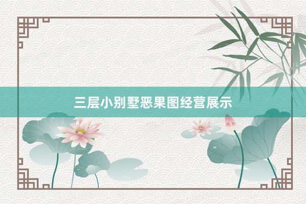三层小别墅恶果图经营展示